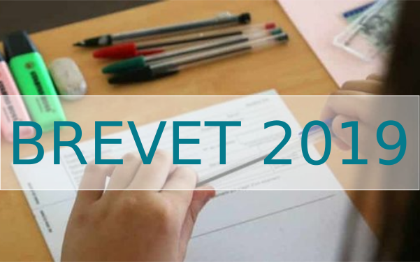 Brevet 2019